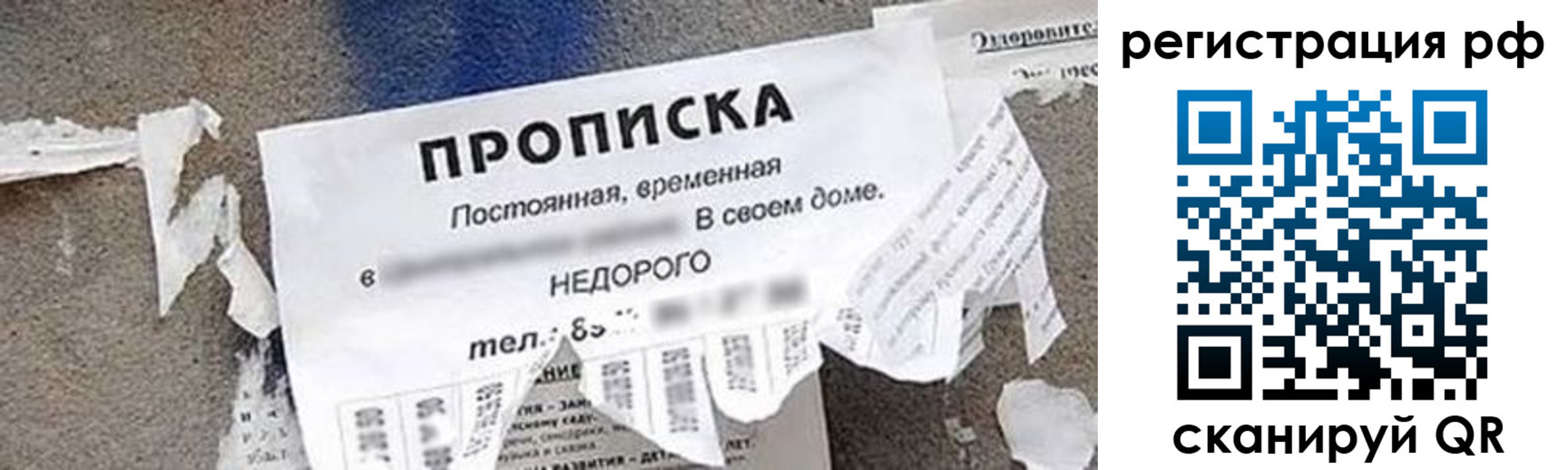 прописка в Отрадном